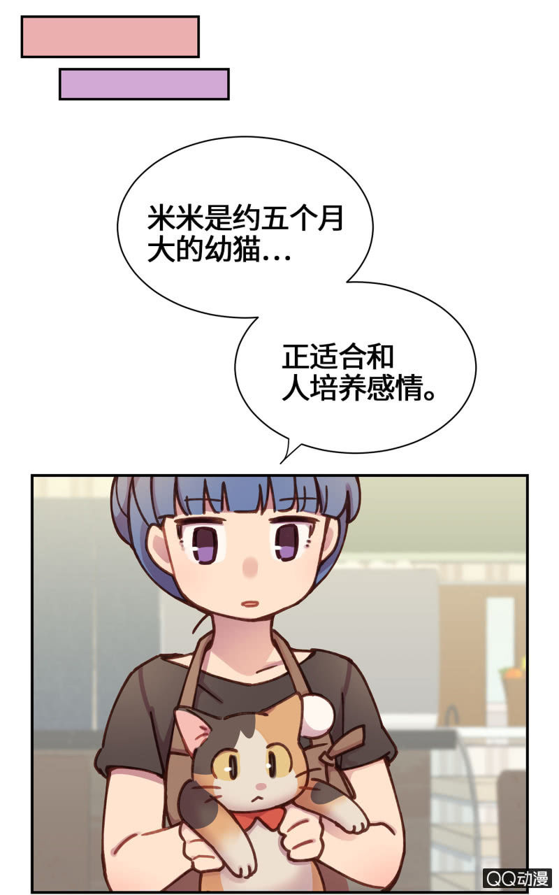 第20杯『爱心领养』-第22话