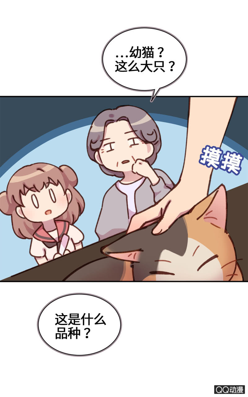 第20杯『爱心领养』-第22话