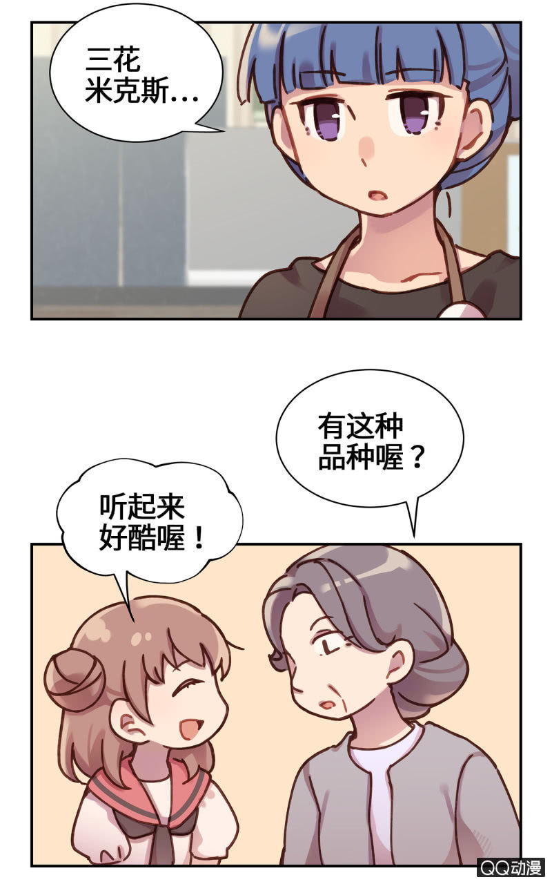 第20杯『爱心领养』-第22话