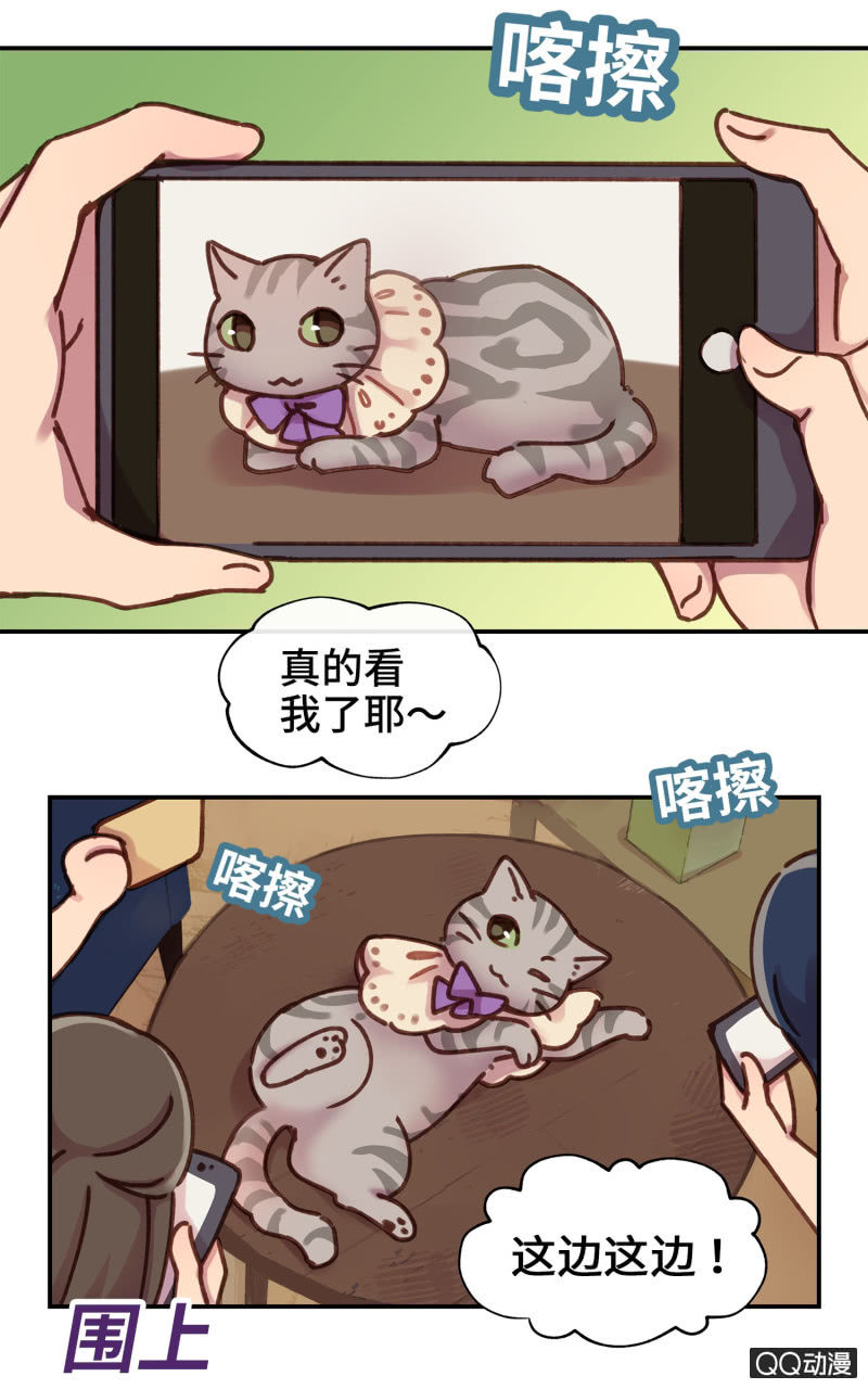 第20杯『爱心领养』-第22话