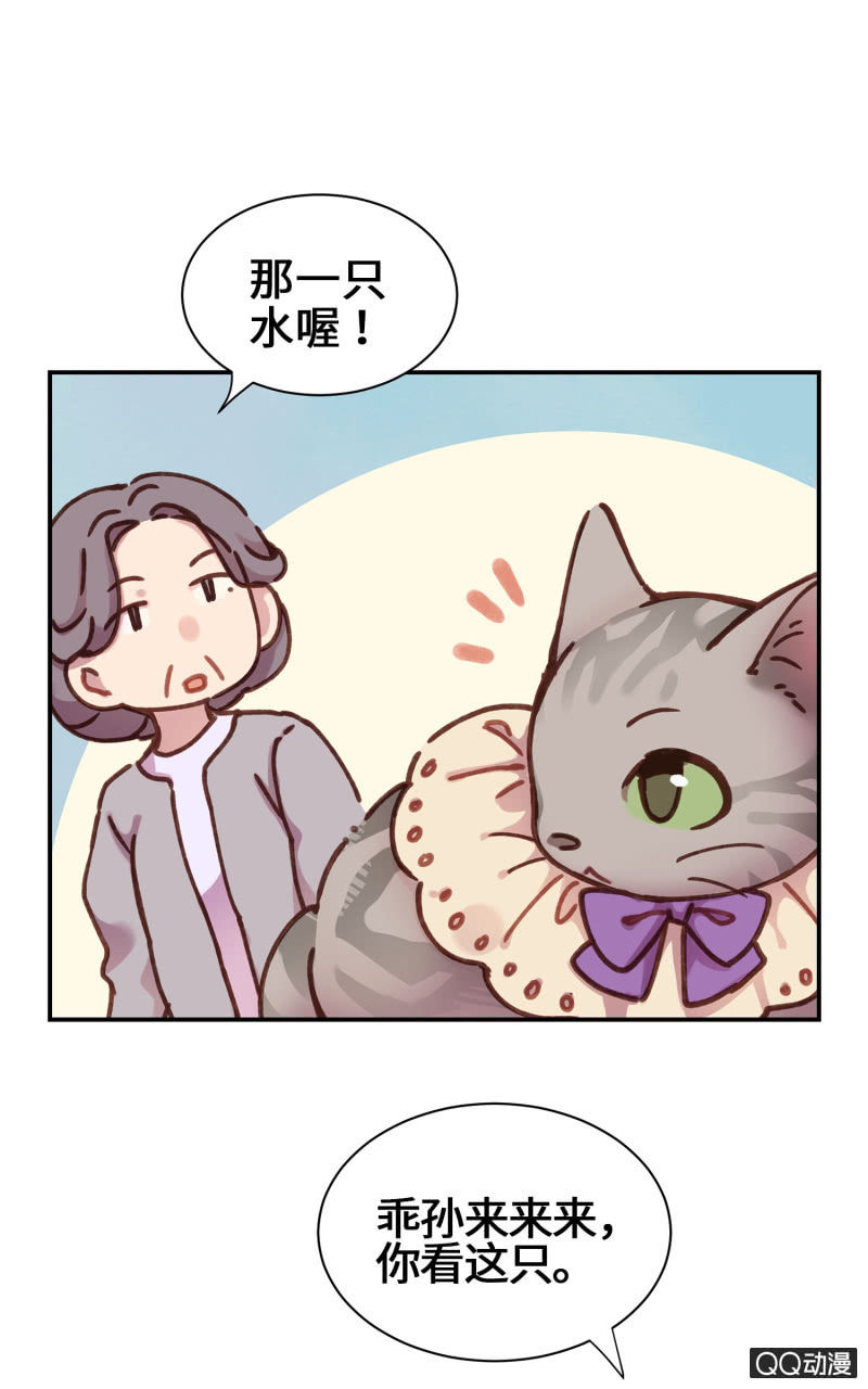 第20杯『爱心领养』-第22话