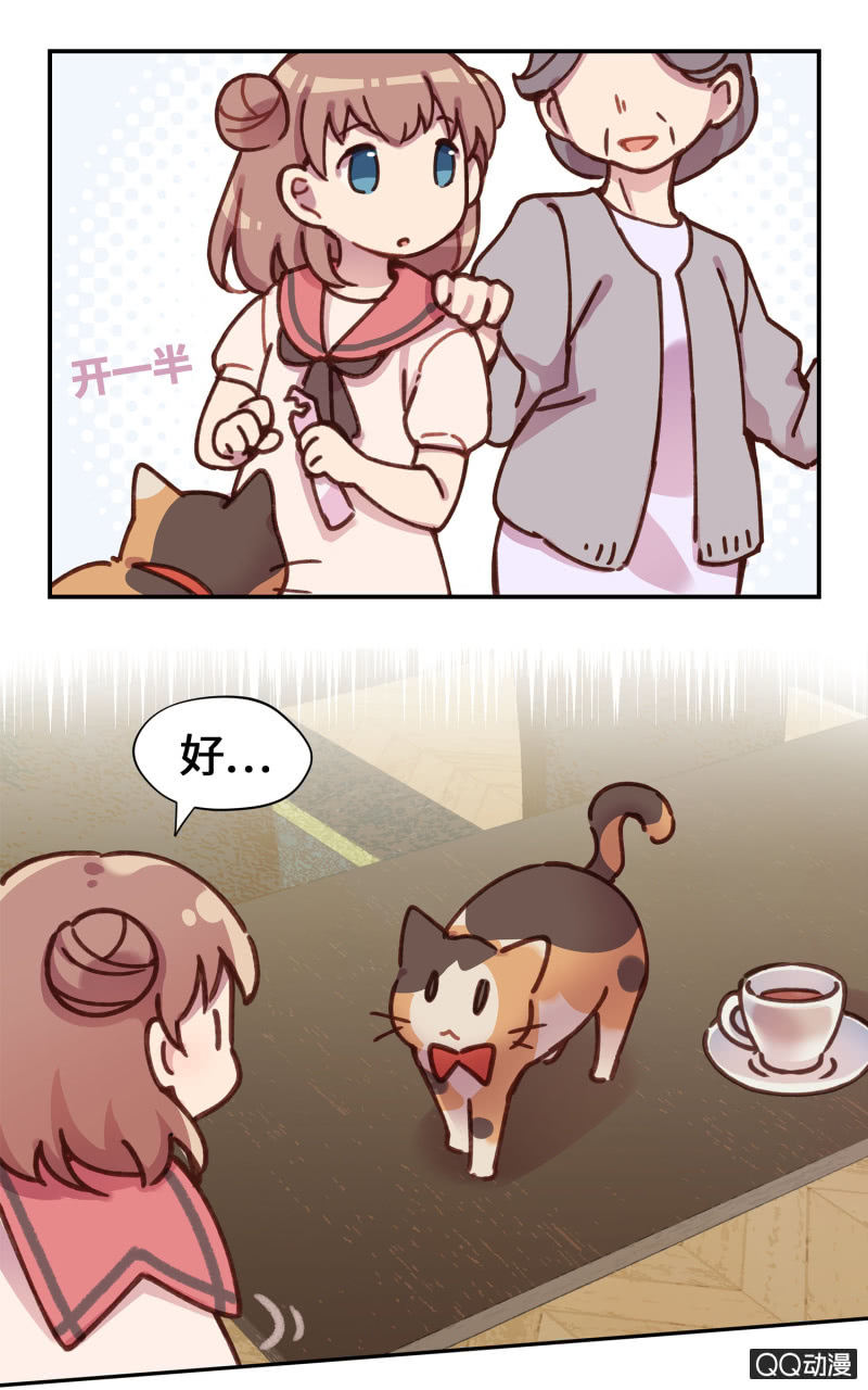 第20杯『爱心领养』-第22话