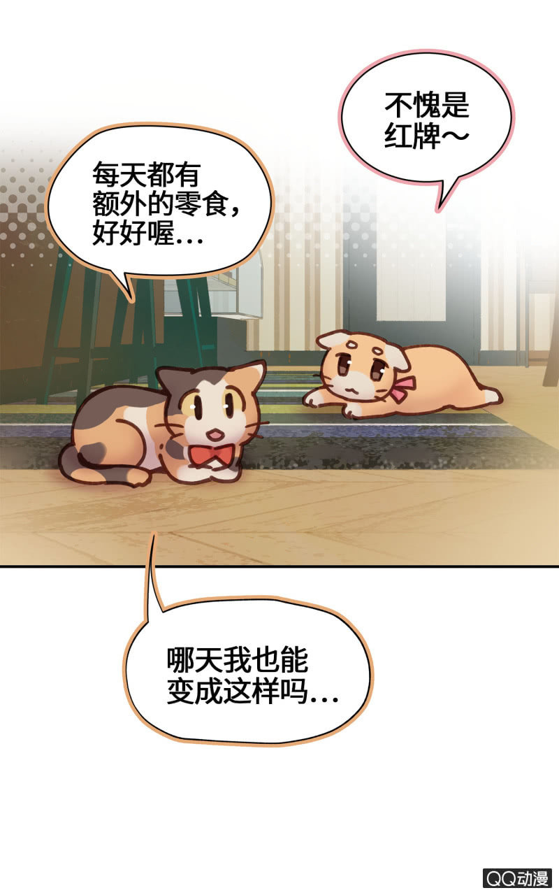 第20杯『爱心领养』-第22话