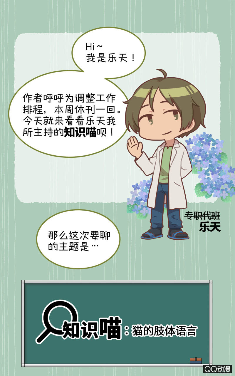 番外篇『知识喵：猫的肢体语言』-第24话