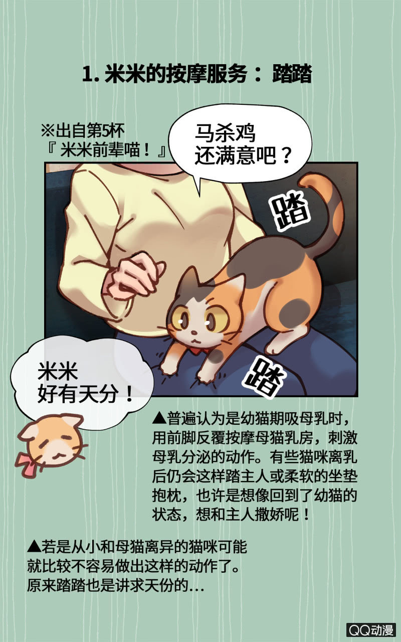 番外篇『知识喵：猫的肢体语言』1