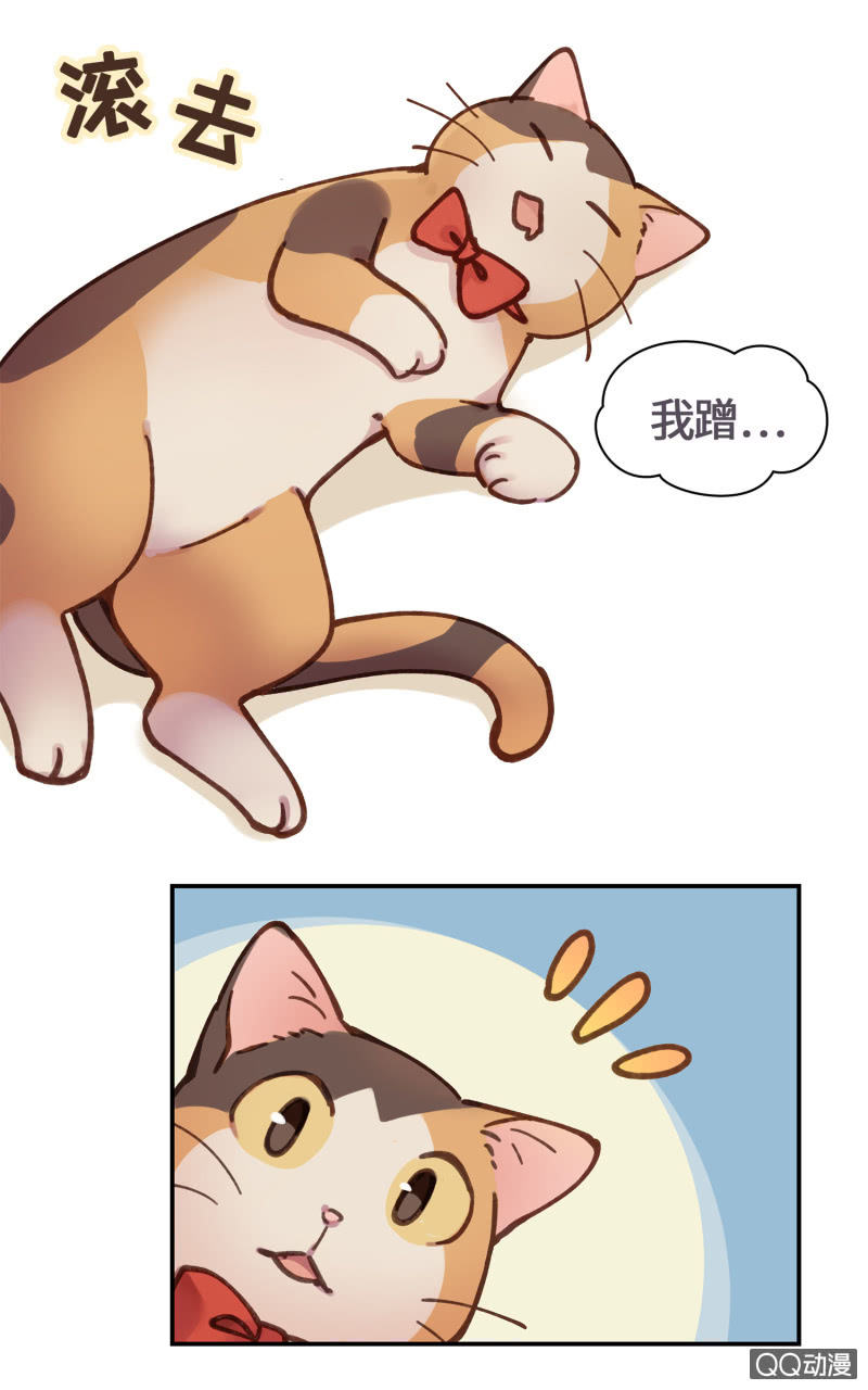 第25杯『神秘黑影』-第28话