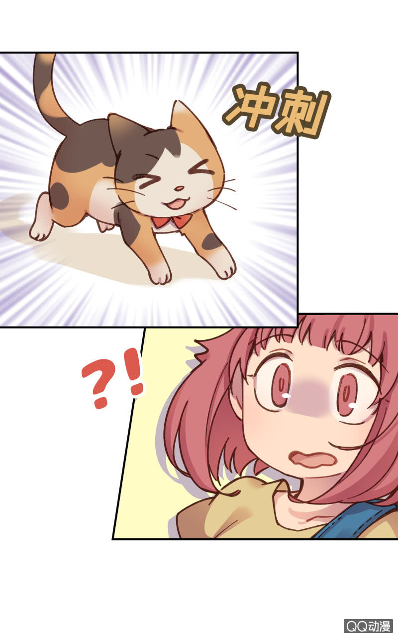 第25杯『神秘黑影』-第28话