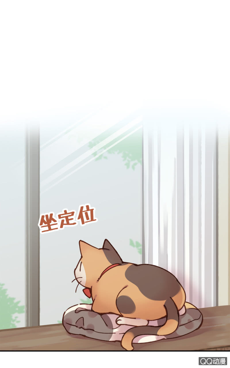 第25杯『神秘黑影』-第28话