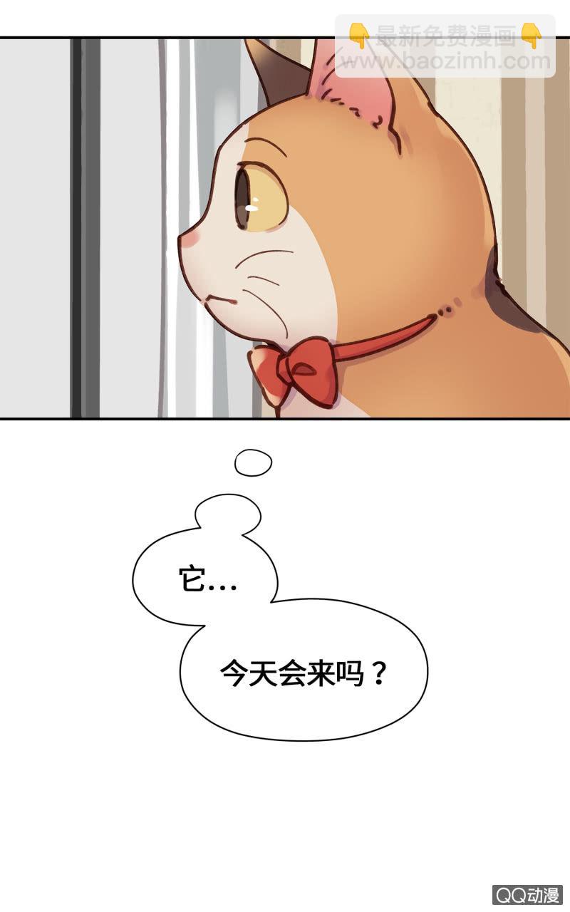 第25杯『神秘黑影』-第28话