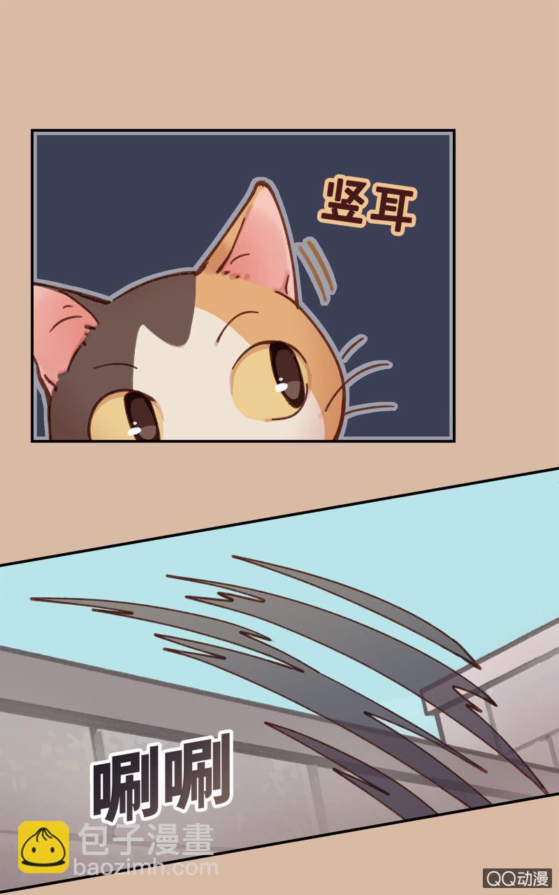 第25杯『神秘黑影』-第28话