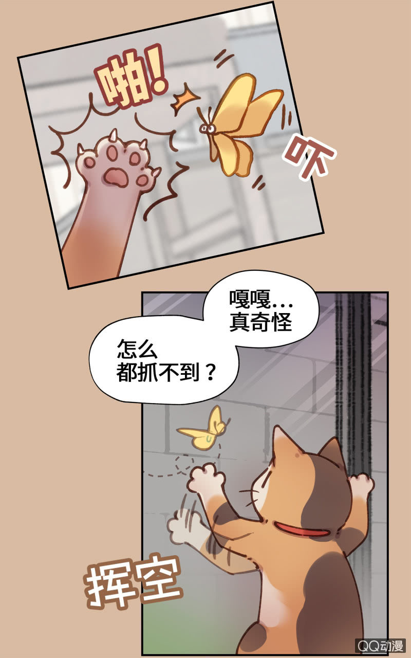 第25杯『神秘黑影』-第28话