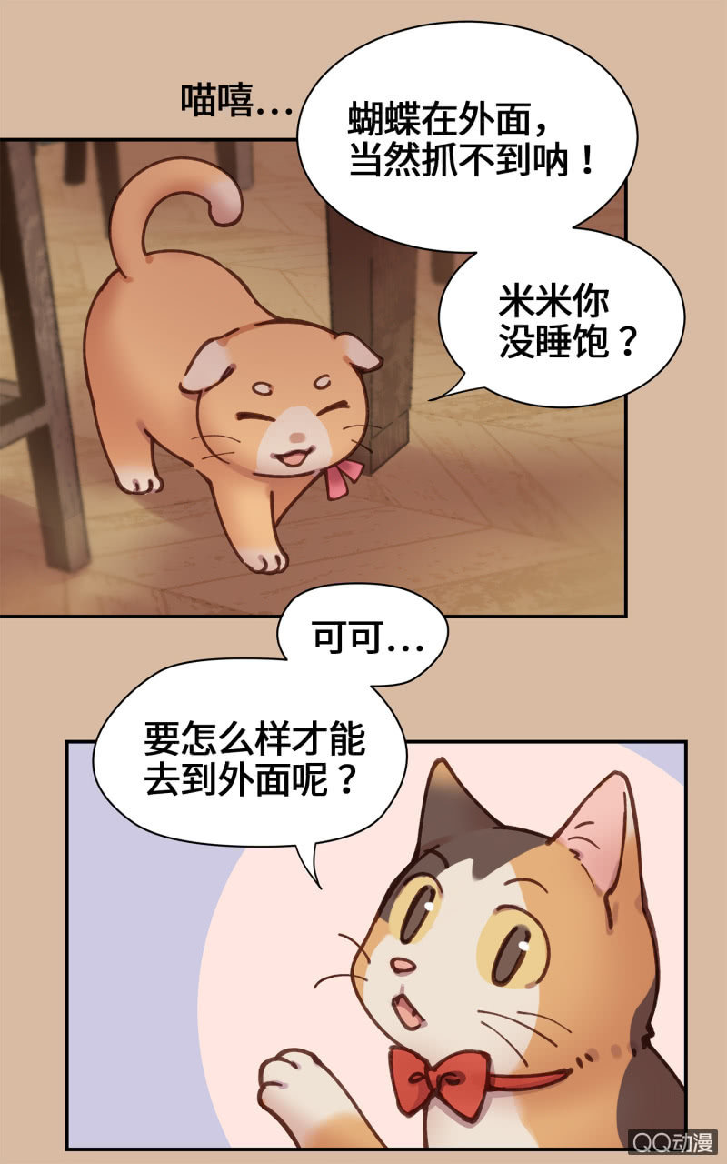 第25杯『神秘黑影』-第28话