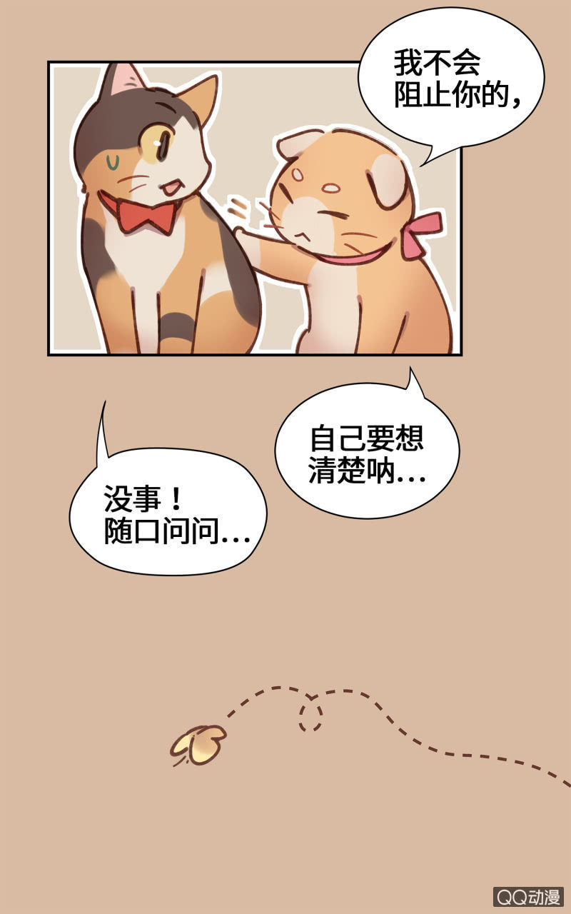 第25杯『神秘黑影』-第28话