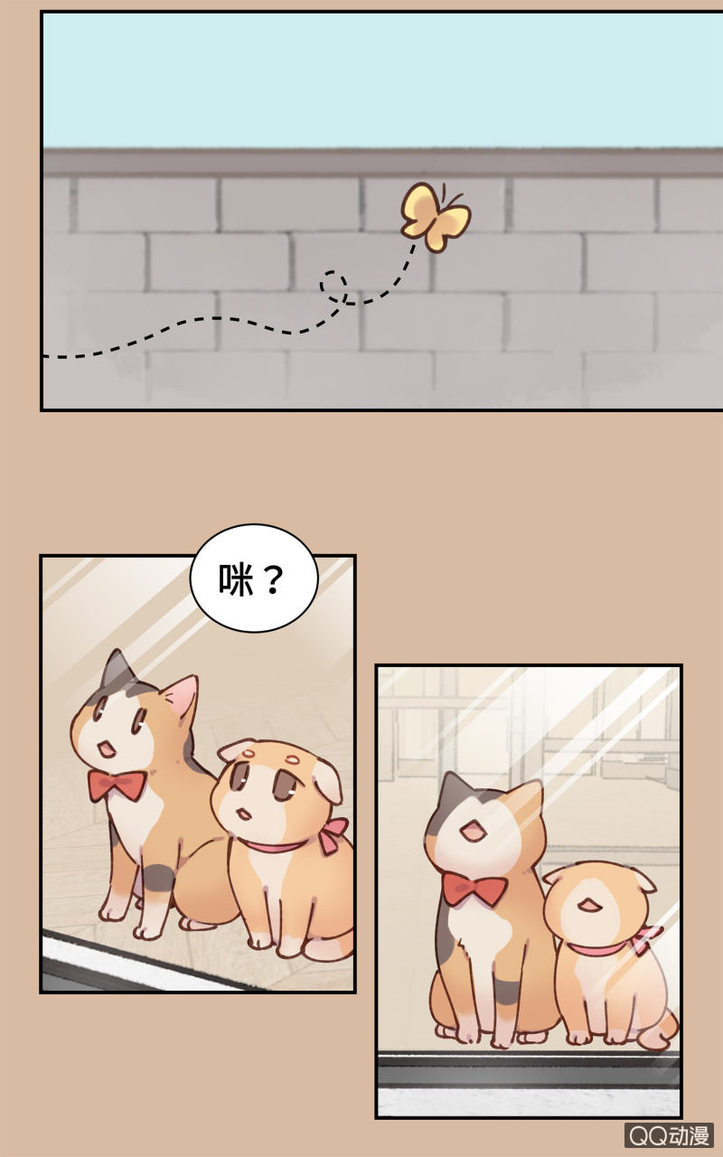 第25杯『神秘黑影』-第28话