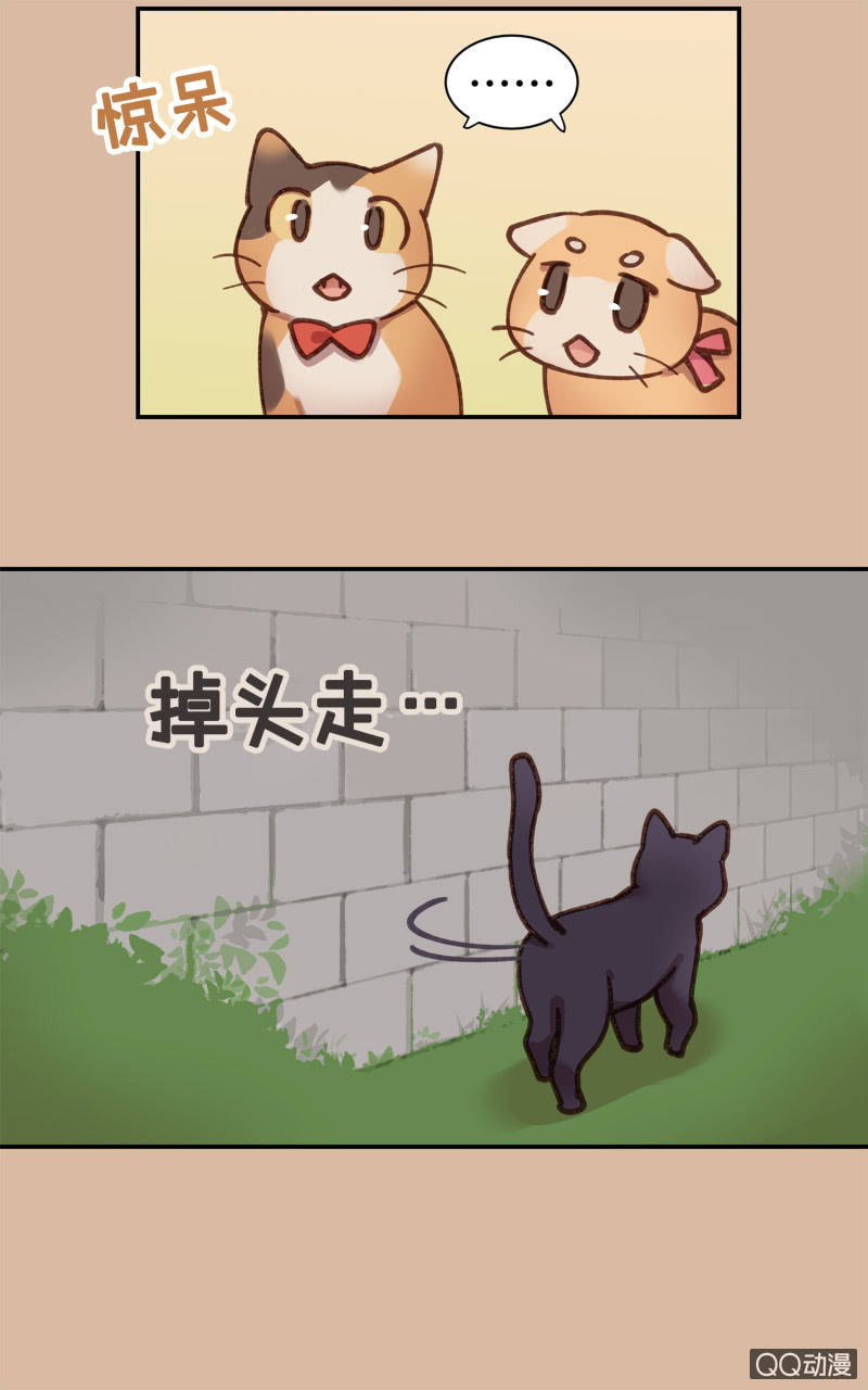 第25杯『神秘黑影』-第28话