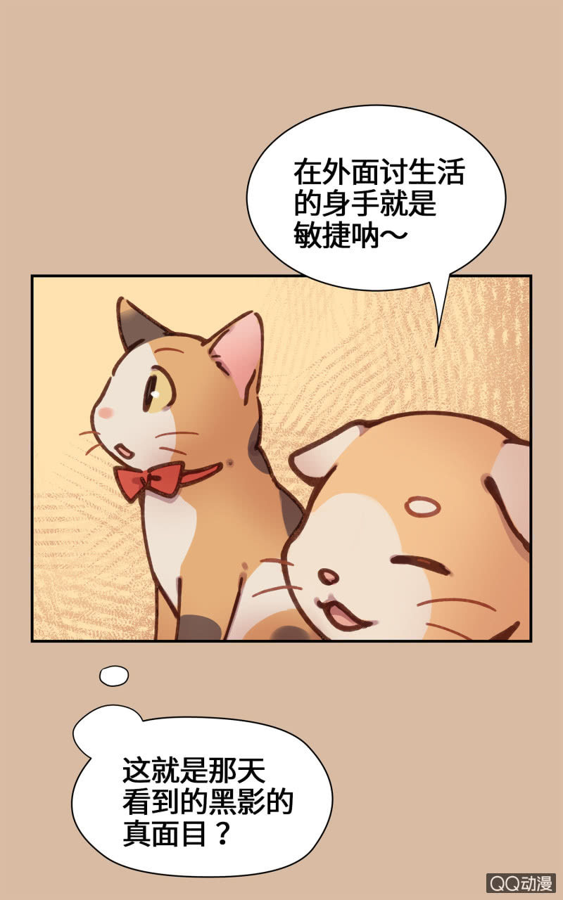 第25杯『神秘黑影』-第28话