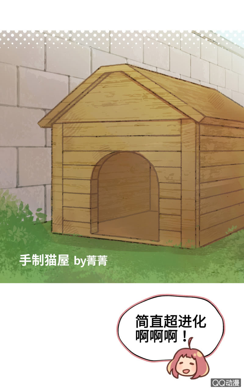 第25杯『神秘黑影』-第28话