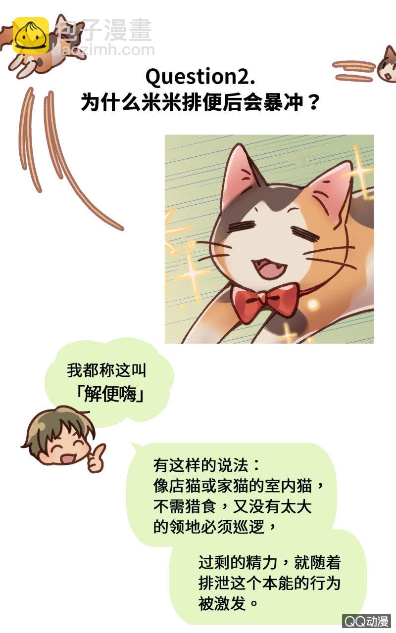 工作在貓咖啡 - 番外篇『知識喵：貓的習性』 - 2