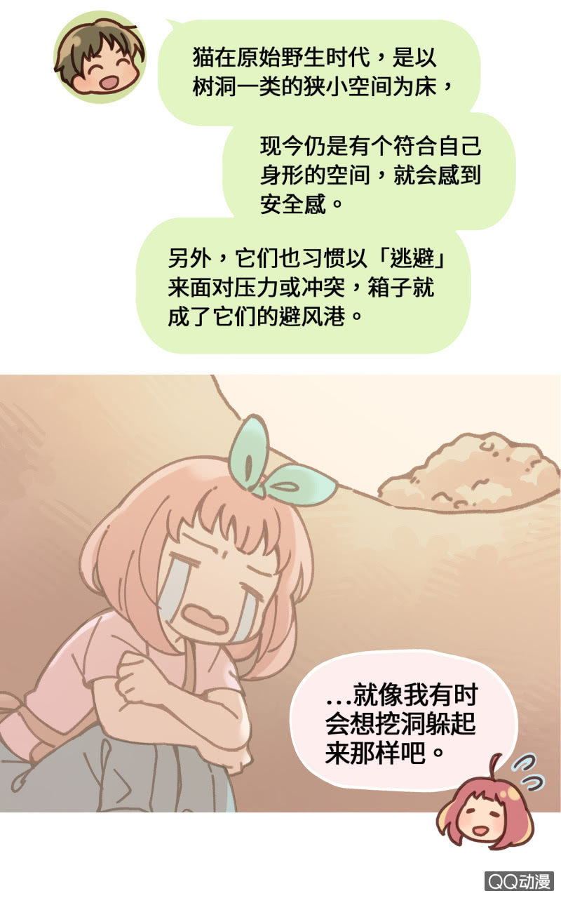 工作在貓咖啡 - 番外篇『知識喵：貓的習性』 - 2