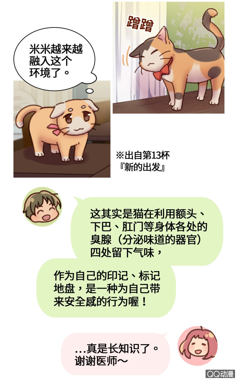 工作在貓咖啡 - 番外篇『知識喵：貓的習性』 - 2