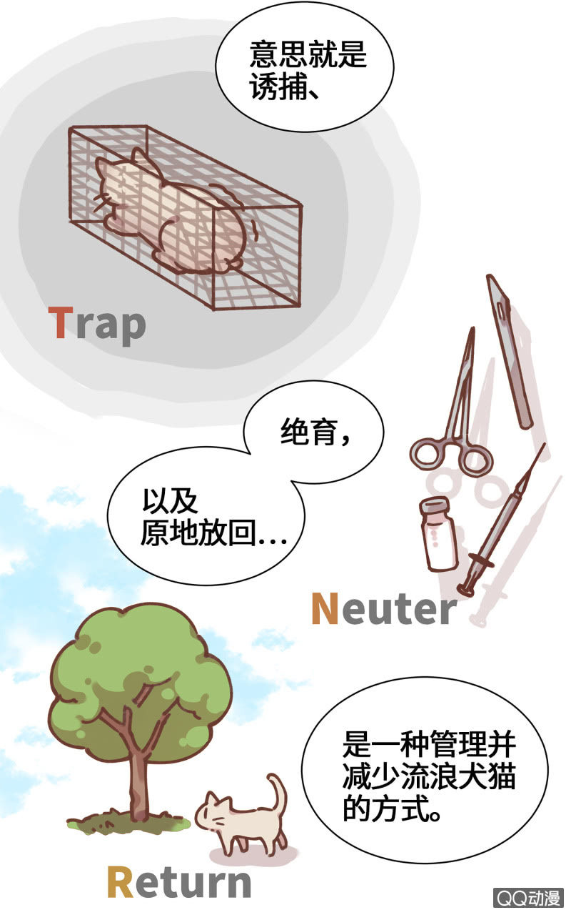 第28杯『半套的爱心』-第32话