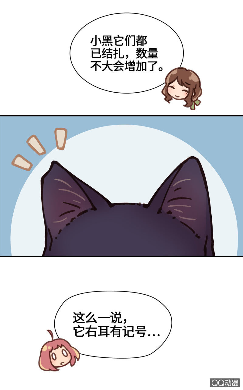 第28杯『半套的爱心』-第32话