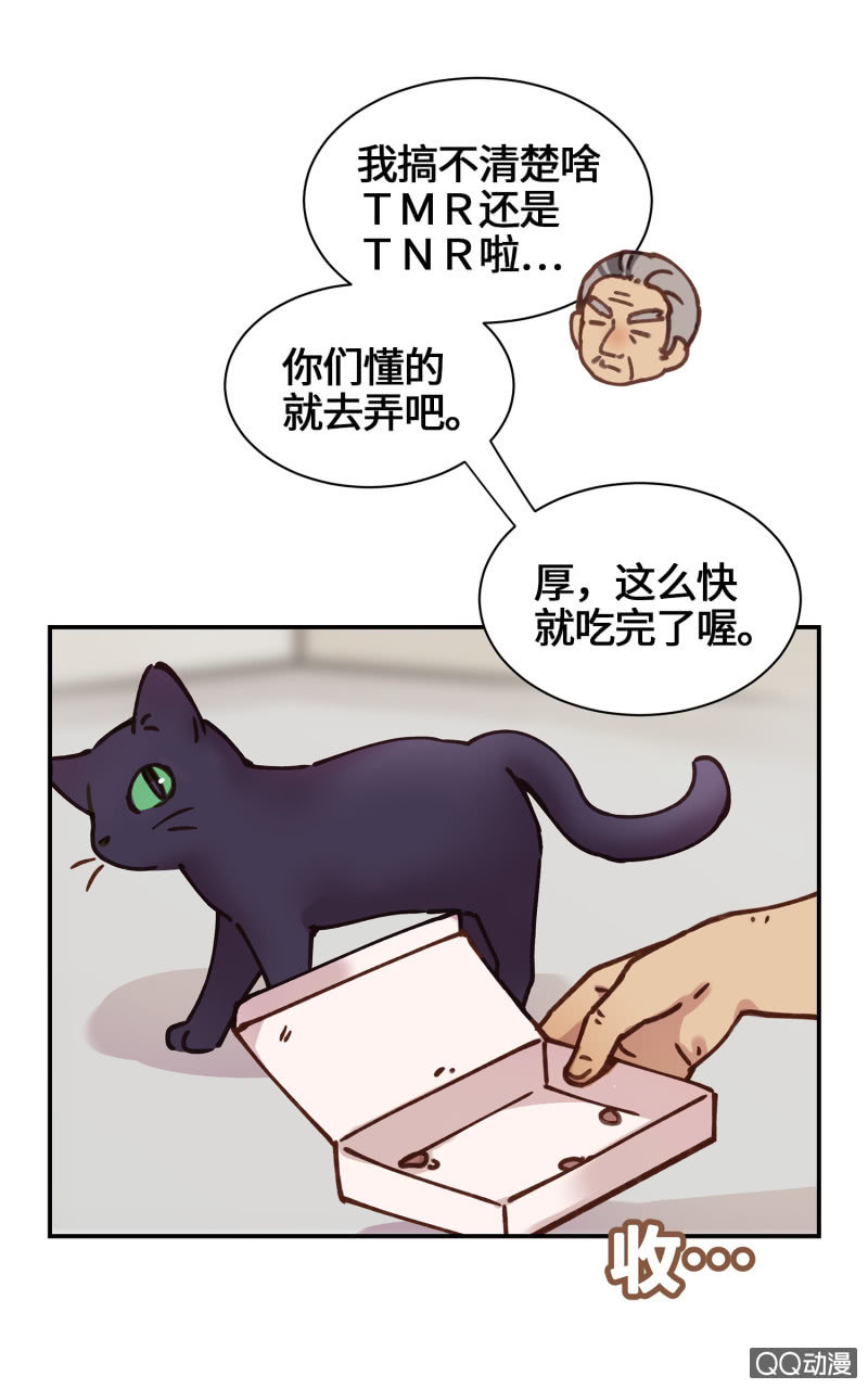 第28杯『半套的爱心』-第32话