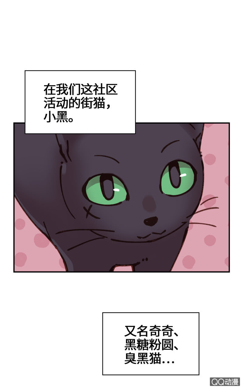 第28杯『半套的爱心』-第32话