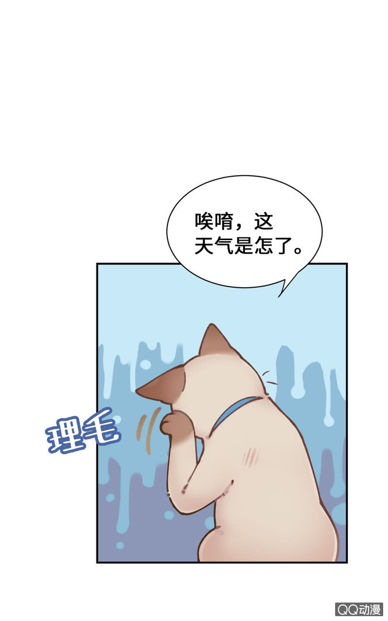 第30杯『超市约会』-第34话