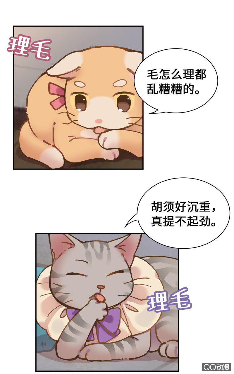 第30杯『超市约会』-第34话