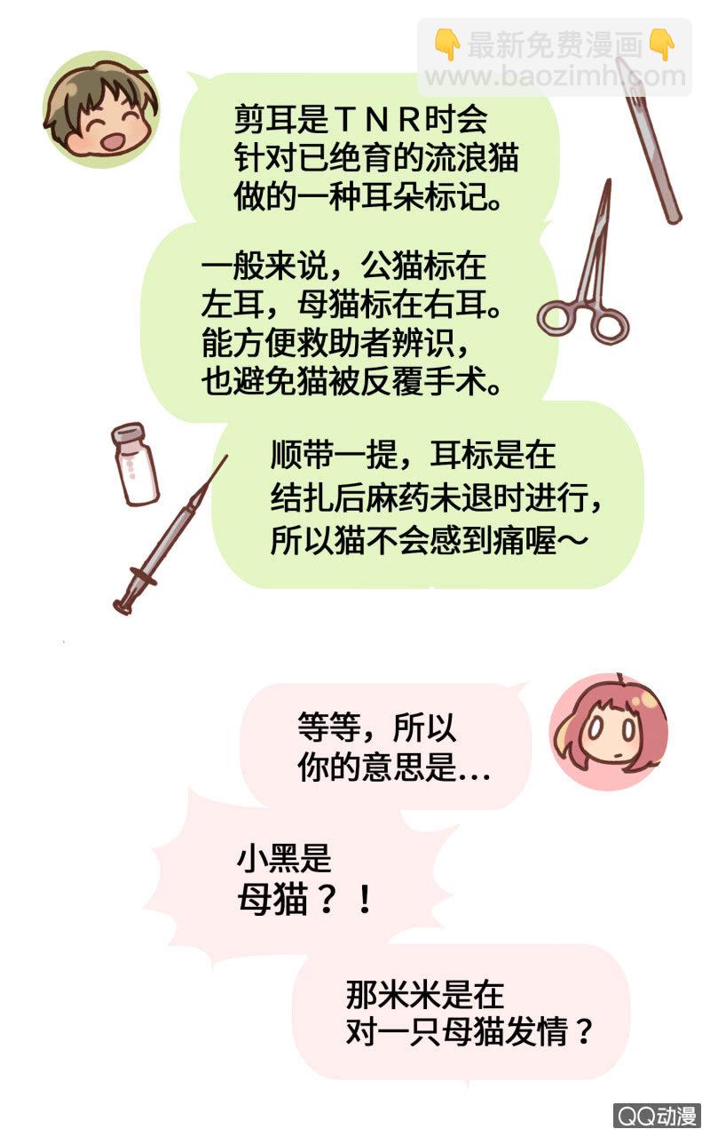 番外篇『知识喵：吾家有猫初长成』-第36话