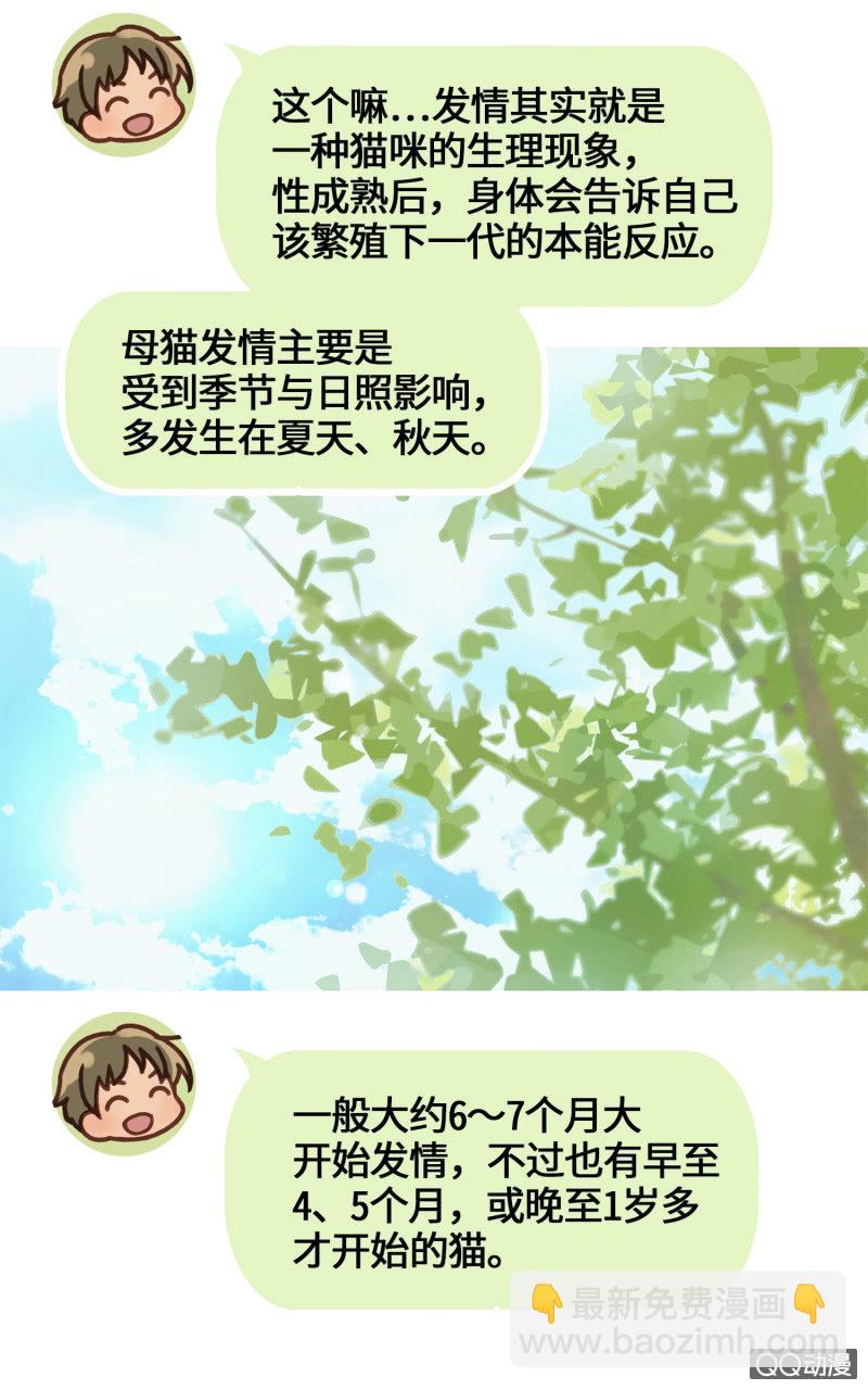 番外篇『知识喵：吾家有猫初长成』-第36话