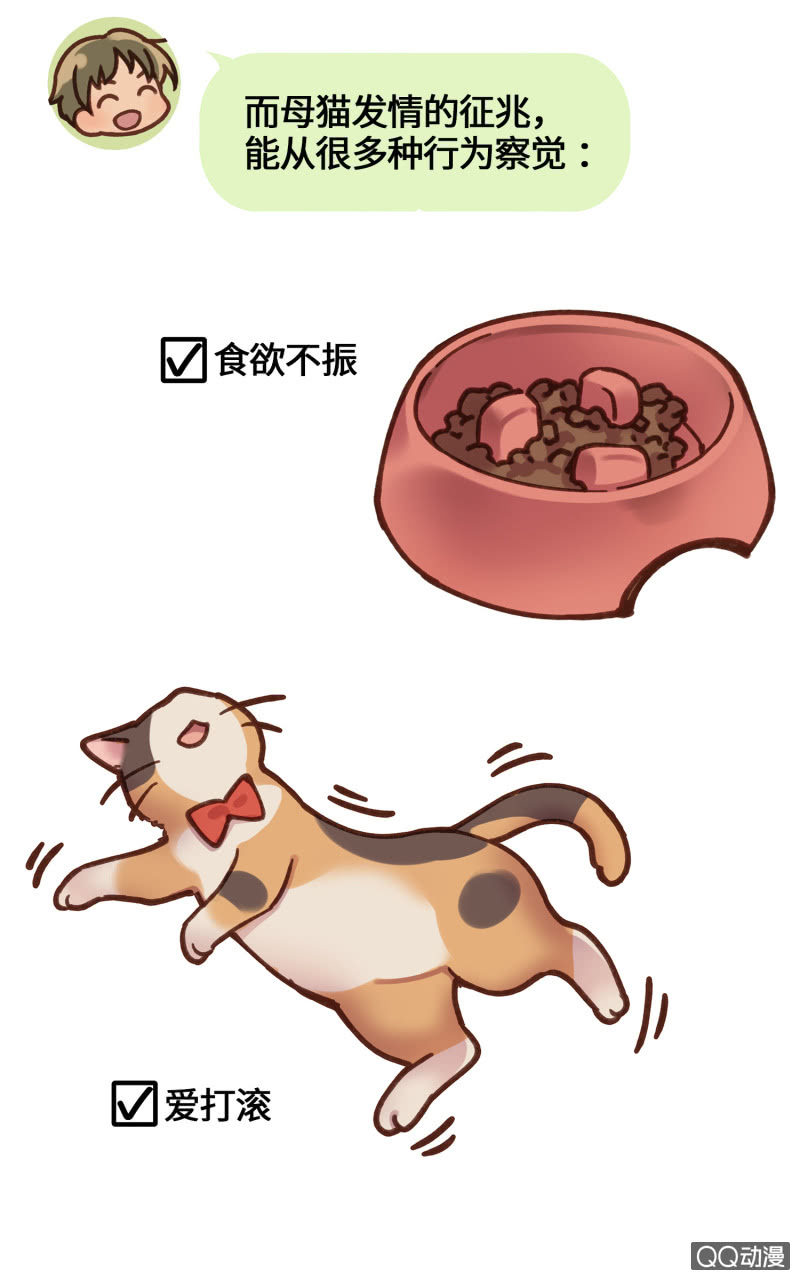 番外篇『知识喵：吾家有猫初长成』-第36话