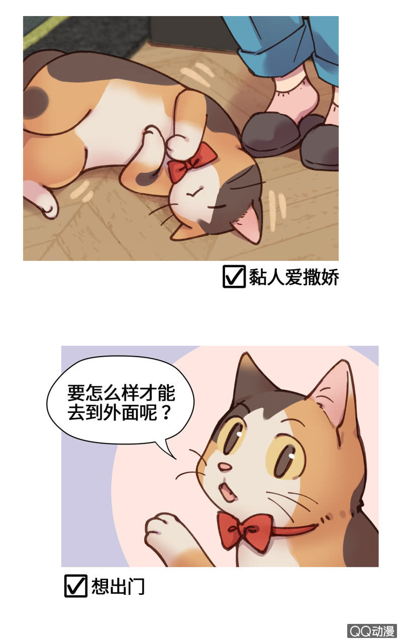 番外篇『知识喵：吾家有猫初长成』-第36话