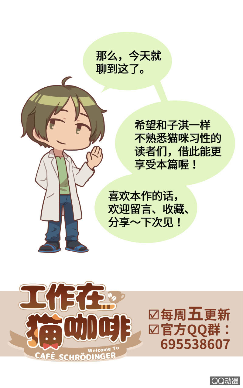 番外篇『知识喵：吾家有猫初长成』-第36话