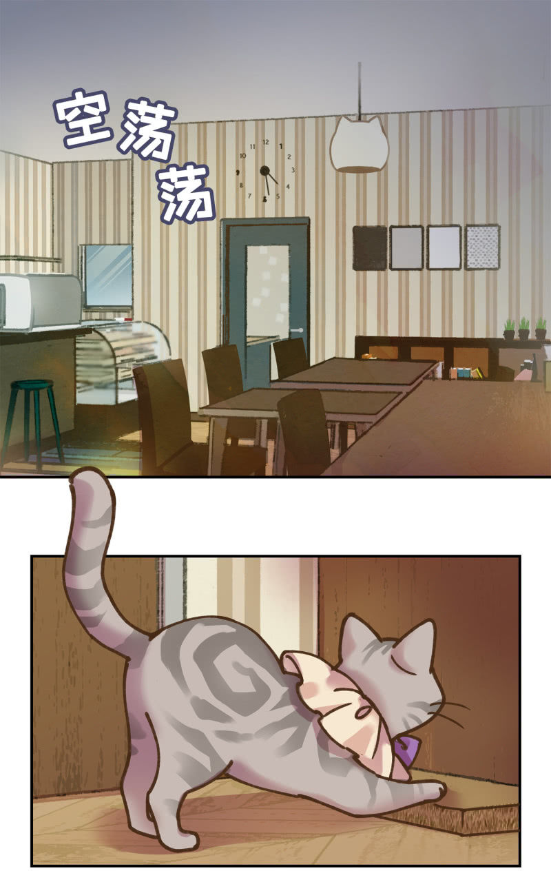 第33杯『台风谈心夜』-第38话