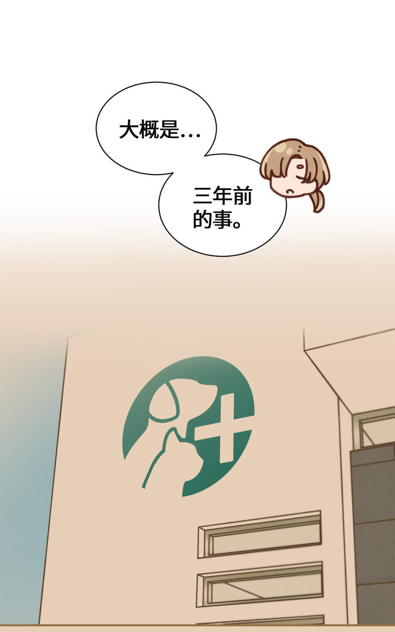 第35杯『主人』-第40话