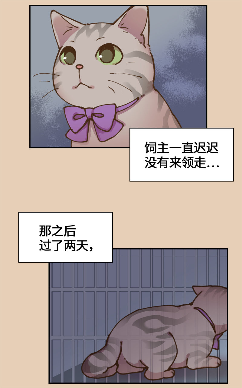 第35杯『主人』-第40话