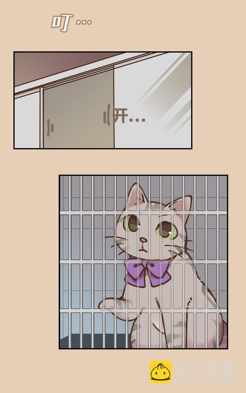 第35杯『主人』-第40话