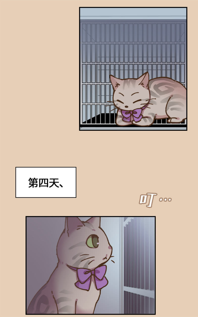 第35杯『主人』-第40话