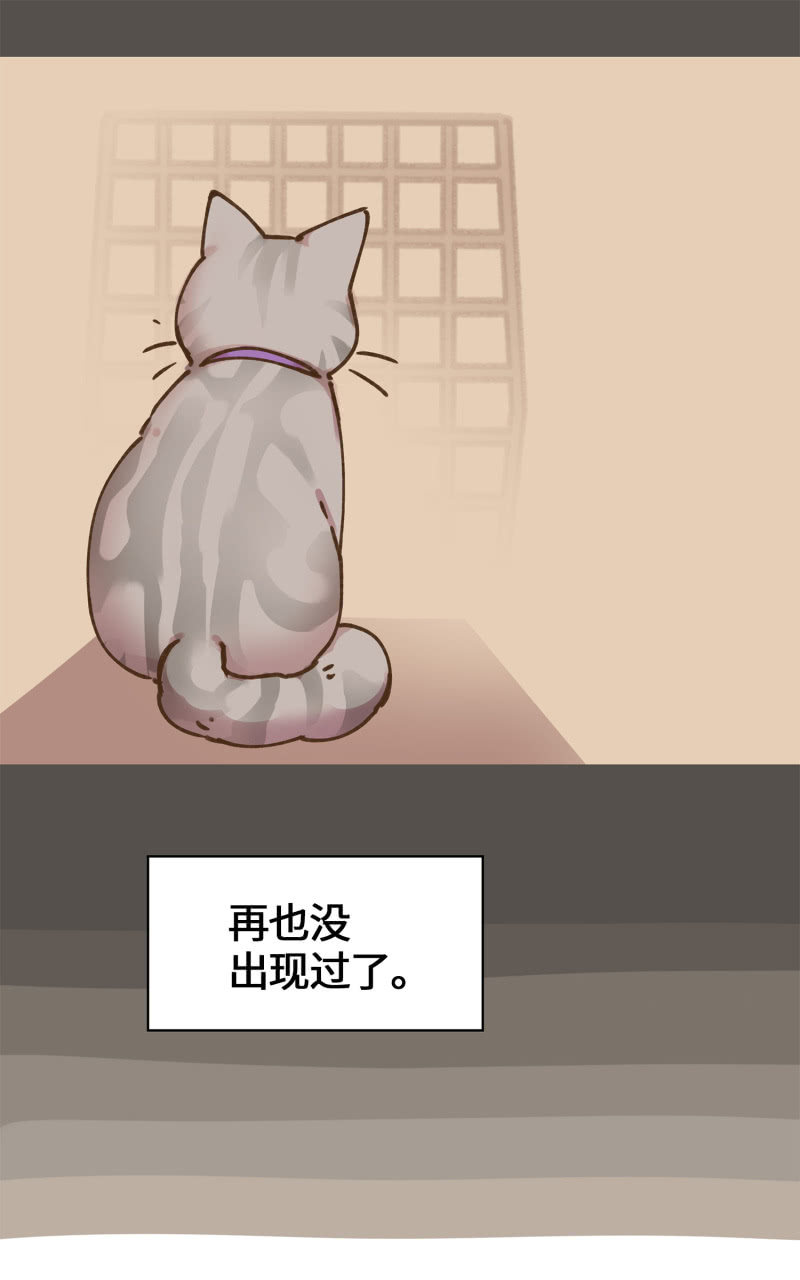 第35杯『主人』-第40话