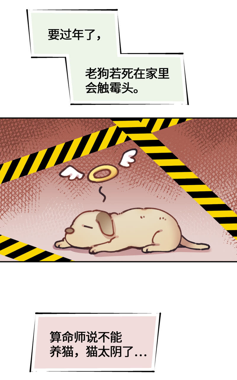 第35杯『主人』-第40话