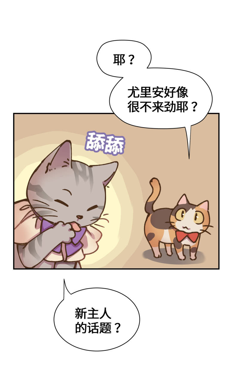 第35杯『主人』-第40话