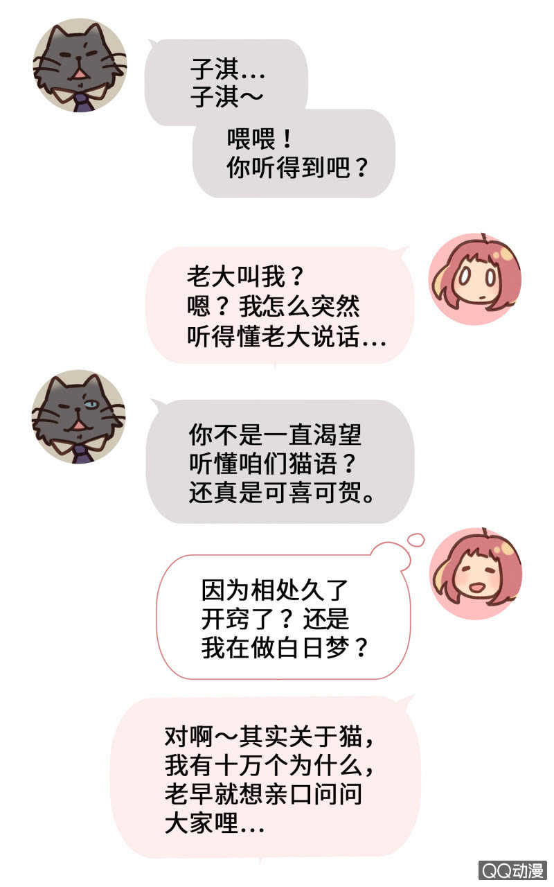 番外篇『知识喵：喵星人大解密』-第42话