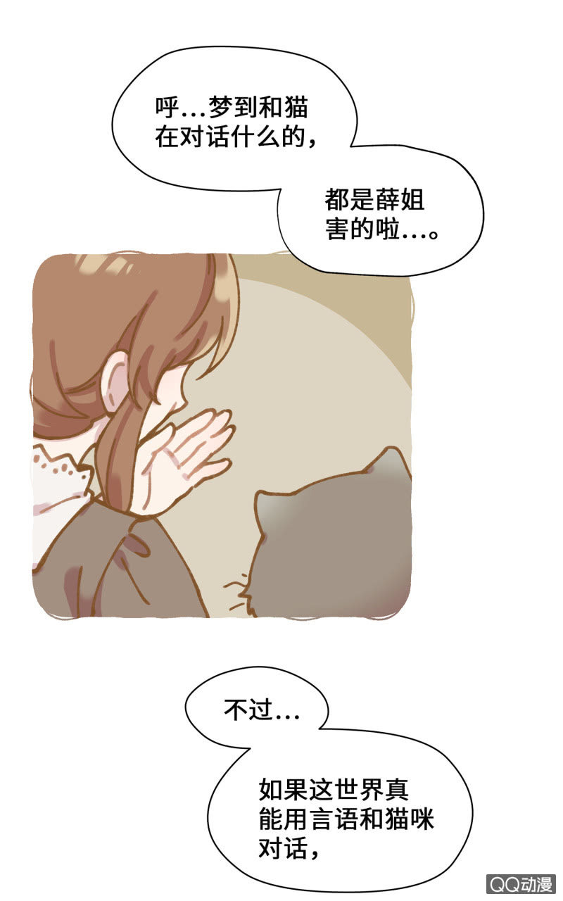 番外篇『知识喵：喵星人大解密』-第42话