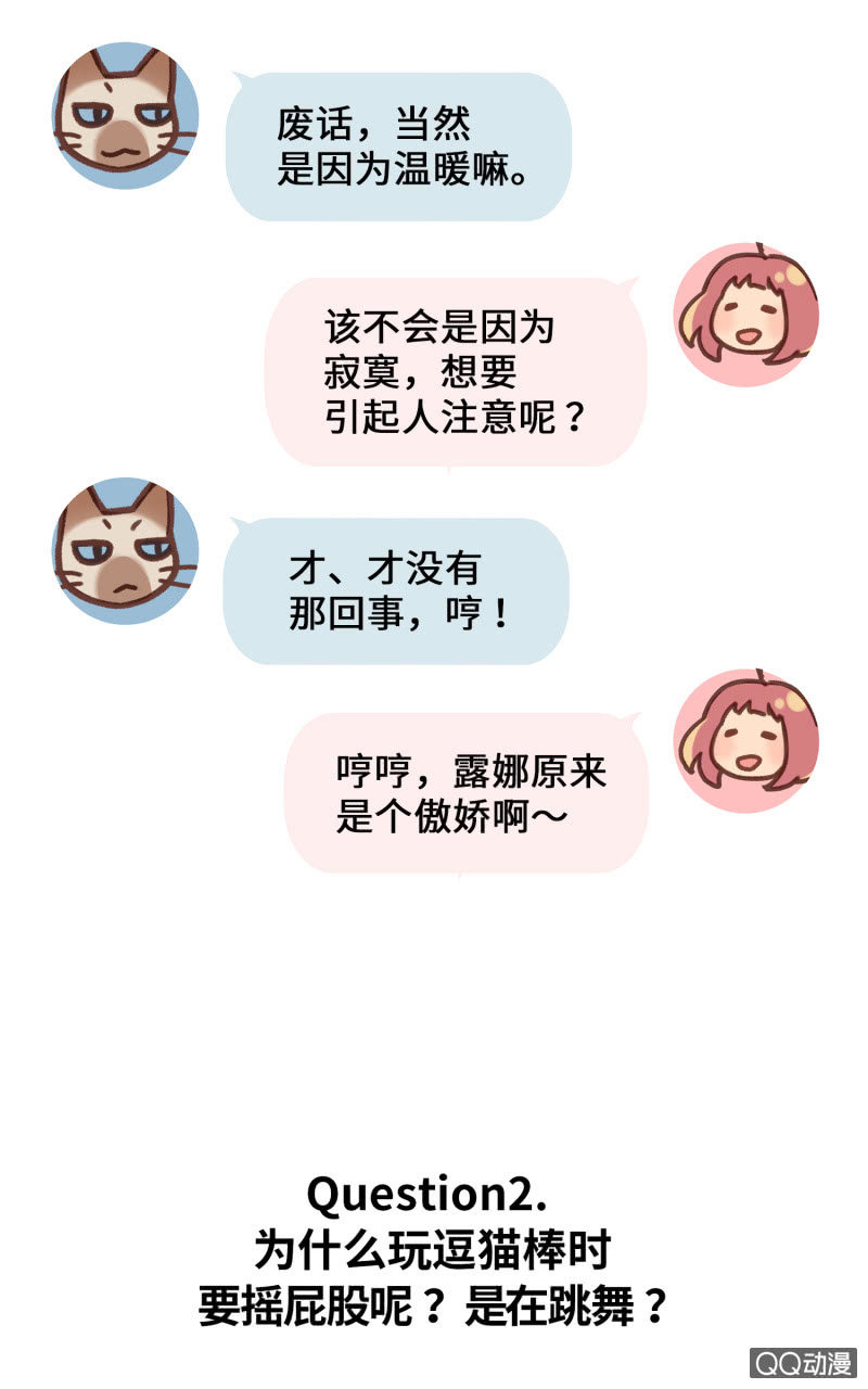 番外篇『知识喵：喵星人大解密』-第42话