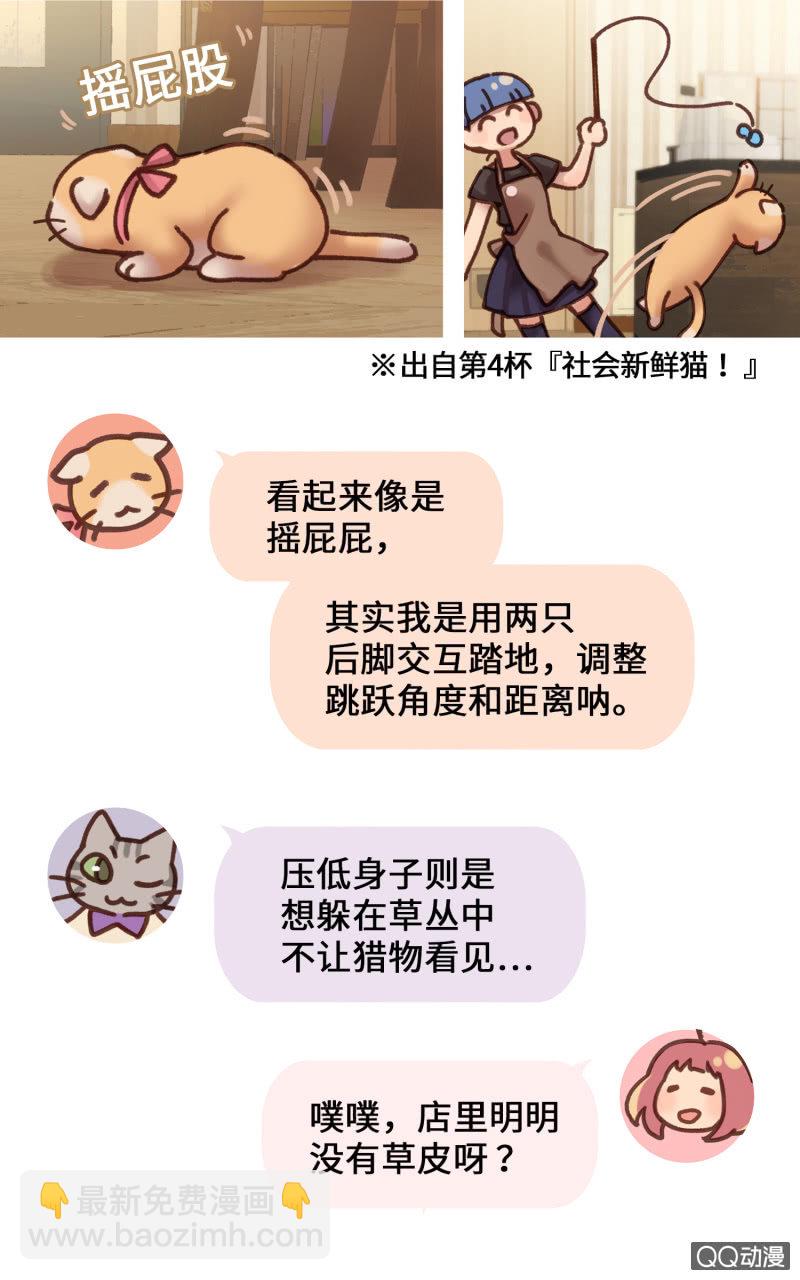 番外篇『知识喵：喵星人大解密』-第42话