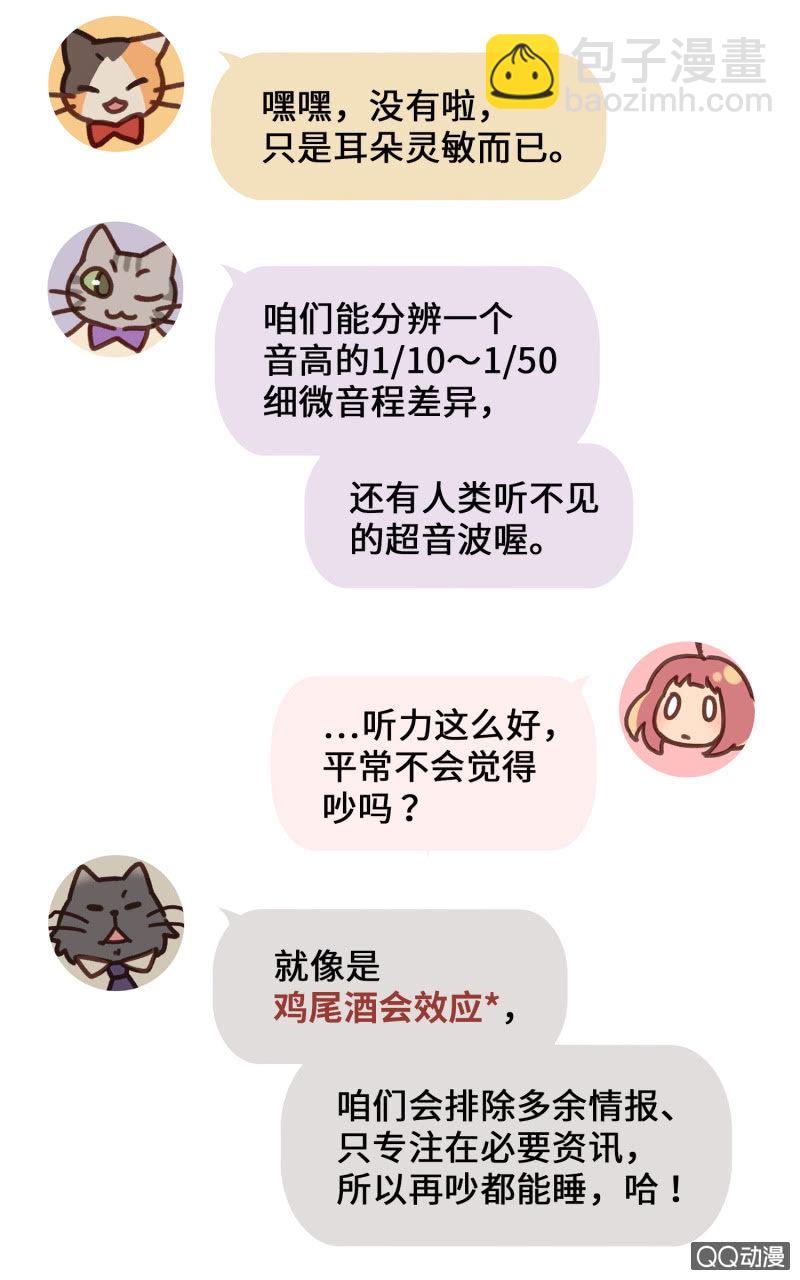 番外篇『知识喵：喵星人大解密』-第42话