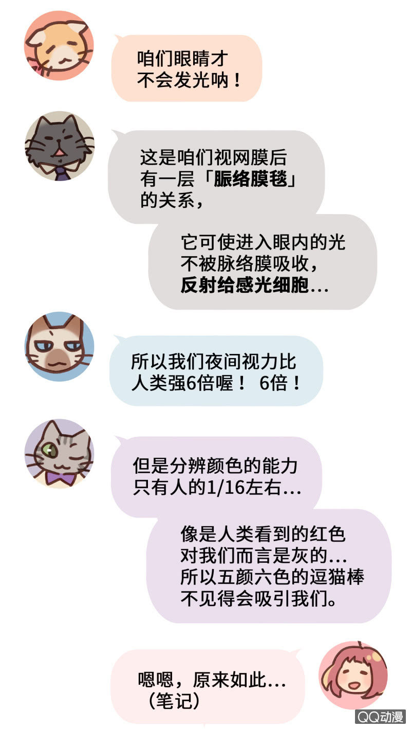 番外篇『知识喵：喵星人大解密』-第42话