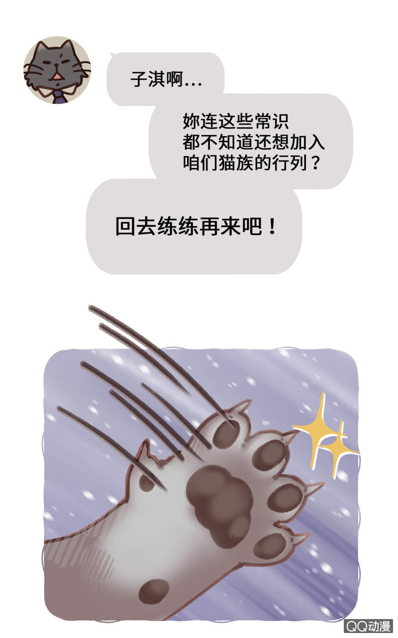 番外篇『知识喵：喵星人大解密』-第42话